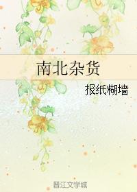 南北杂货256中文