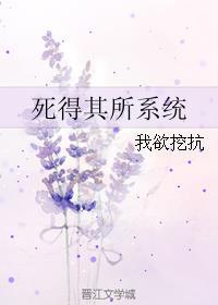 死得其所系统 百度