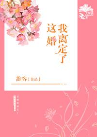 这婚我离定了夏梦乔司宇免费