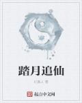 踏月寻星辰是什么意思