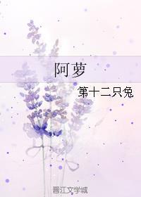 阿萝遗珠晋江