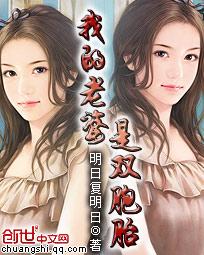 我的老婆是双胞胎李-飞