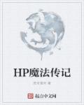 hp魔法传记全文阅读