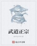 武道宗师介绍