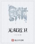 无双近卫套