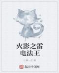 火影 工坊 雷电将军