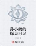 孙小鹤的探灵日记的另一个名字