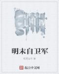 明末卫所军小军官