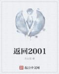 返回2006类似的