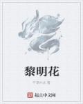 黎明花无缺