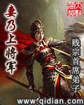 妻乃上将军 epub