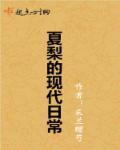 夏梨的现代日常笔趣阁