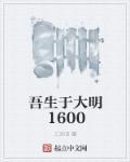 吾生于大明1600TXT