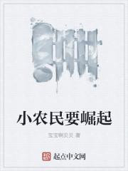 小农民的