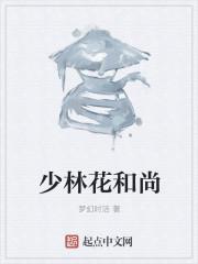 少林寺和尚大师