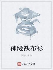 铁布衫什么意思