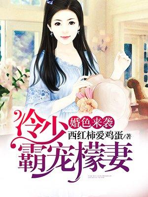 婚色来袭冷少霸宠檬妻免费阅读