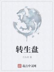 转生盘什么意思