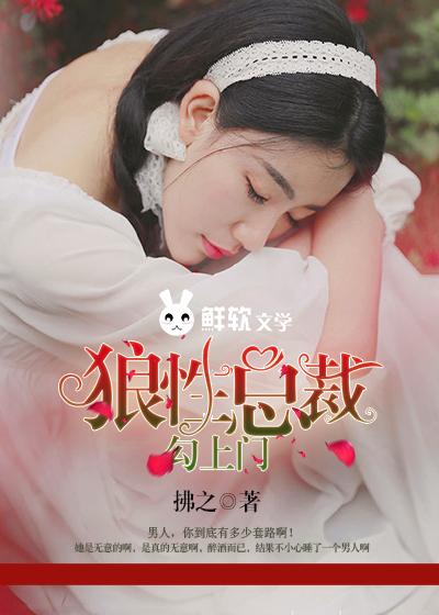 狼性总裁勾上门女婿