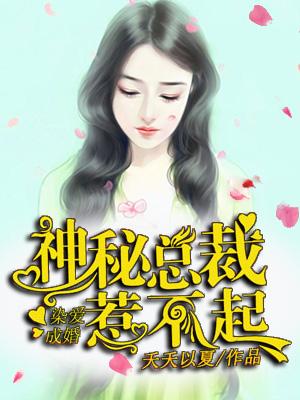 错嫁成婚 总裁的神秘甜妻