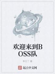 欢迎来到boss队好看吗