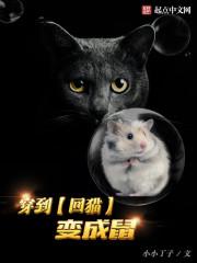 穿越到过去变成猫