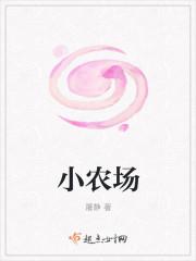 小农场观察记录与分析措施