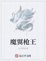 游戏王魔科枪王