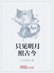 明月何时照古今的前一句