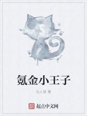 氪金小王子野猪佩奇