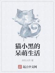 猫小黑的呆萌生活 润色大师