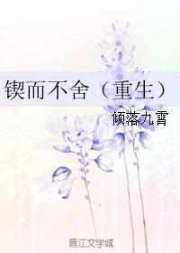 锲而不舍的专栏