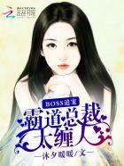 霸道总裁boss宠妻请节制漫画