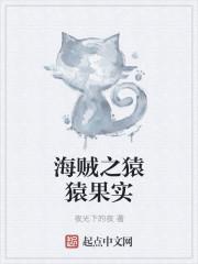 海贼王之黄猿是我