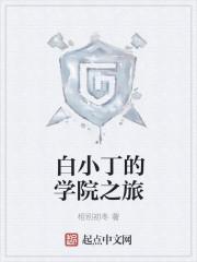 白小白教的