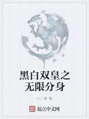 黑白无双游戏