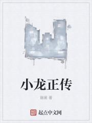 小龙电视剧叫什么名字