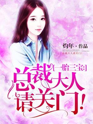 一胎三宝 总裁大人追妻难