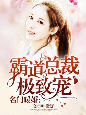 名门暖婚霸道总裁极致宠 只有1个