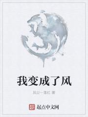 我梦见我变成了风