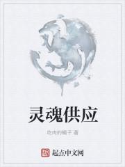 什么是灵魂需求