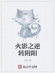 火影阴阳属性有什么功能