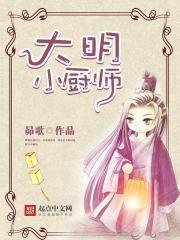 大明厨师飞卢