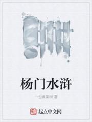 杨门虎将简介