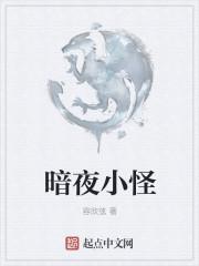 暗夜小甲合成什么