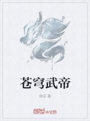 武级苍穹