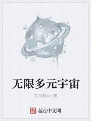 无限多元宇宙之上的级别