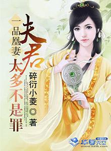 一品夫君三流妻讲什么