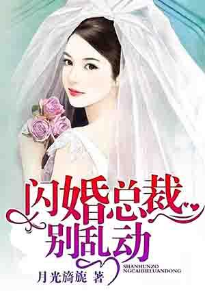 闪婚总裁别太猛全文免费版