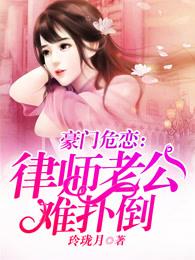 总裁律师妻